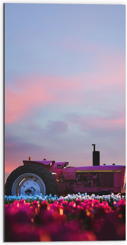 Dibond - Felroze Tractor Geparkeerd in het Bloemenveld - 50x100 cm Foto op Aluminium (Wanddecoratie van metaal)