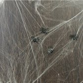 Toile d'araignée avec 6 araignées - 20 grammes