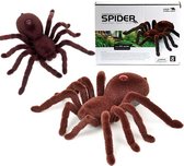 Bestuurbare Spin - RC Spider - Speelgoed spin - Bestuurbaar voertuig - Speelgoed voertuig - Spin - - met Licht - Inclusief afstandsbediening en Batterijen