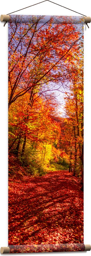 Textielposter - Bospad Bedolven onder Rode Herfstbladeren in Herfstbos - 30x90 cm Foto op Textiel