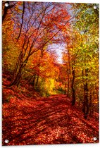 Tuinposter – Bospad Bedolven onder Rode Herfstbladeren in Herfstbos - 60x90 cm Foto op Tuinposter (wanddecoratie voor buiten en binnen)