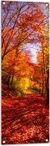 Tuinposter – Bospad Bedolven onder Rode Herfstbladeren in Herfstbos - 40x120 cm Foto op Tuinposter (wanddecoratie voor buiten en binnen)