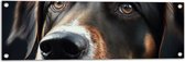 Tuinposter – Close-up van Kop van Bruin met Zwarte Hond - 90x30 cm Foto op Tuinposter (wanddecoratie voor buiten en binnen)