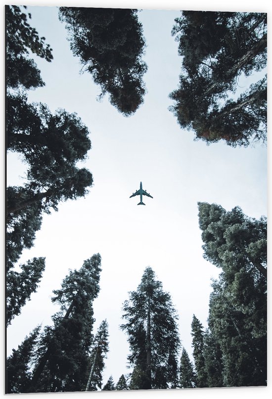 Dibond - Onderaanzicht van Passagiersvliegtuig tussen Hoge Bomen - 60x90 cm Foto op Aluminium (Met Ophangsysteem)