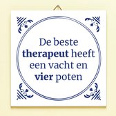 Ditverzinjeniet.nl Tegeltje De Beste Therapeut