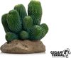 Giganterra Cactus 12x12x13 cm
