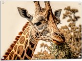 Tuinposter – Close-up van Giraffe Etend van Hoge Boom - 80x60 cm Foto op Tuinposter (wanddecoratie voor buiten en binnen)