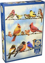 Puzzle Cobble Hill 500 pièces - Oiseaux sur un fil