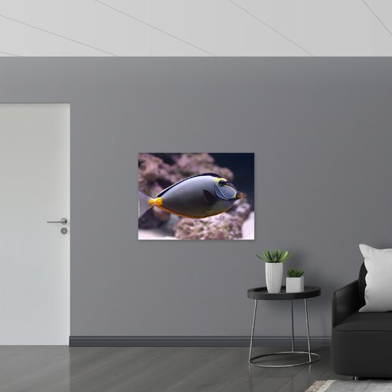 Vlag - Blauw met Gele Koekopvis Zwemmend langs Roze Koraal - 100x75 cm Foto op Polyester Vlag