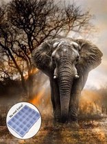 Olifanten Diamond Painting kopen? - Happy Painting