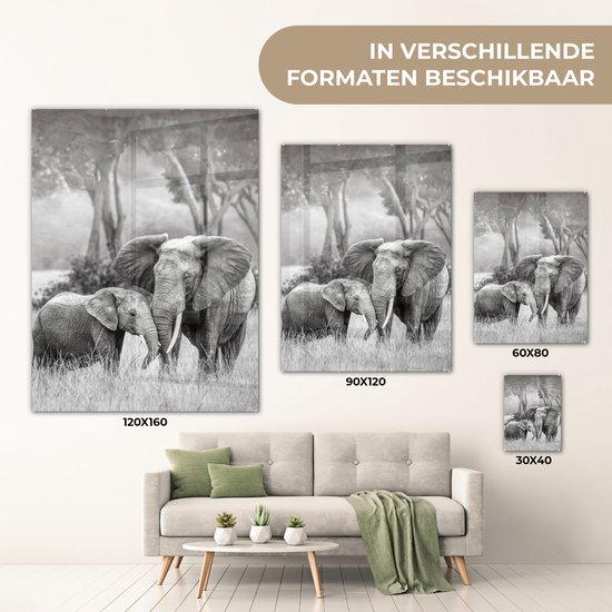 MuchoWow® Tableau en verre 30x40 cm - Peinture sur verre acrylique - Éléphant - Animaux - Nature - Noir et blanc - Photo sur verre - Tableaux