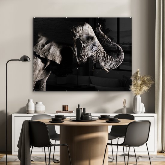 MuchoWow® Peinture sur verre - Éléphant - Zwart - Animaux - Nature - 120x90 cm - Peintures sur verre acrylique - Photo sur Glas