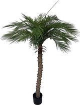 Kunst Palmboom Hawaii - 160cm - Namaak Tropische Palmboom - Groen