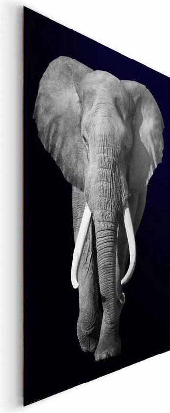 Schilderij Verliefde olifanten - Dieren - Afrikaanse - Schilderijen