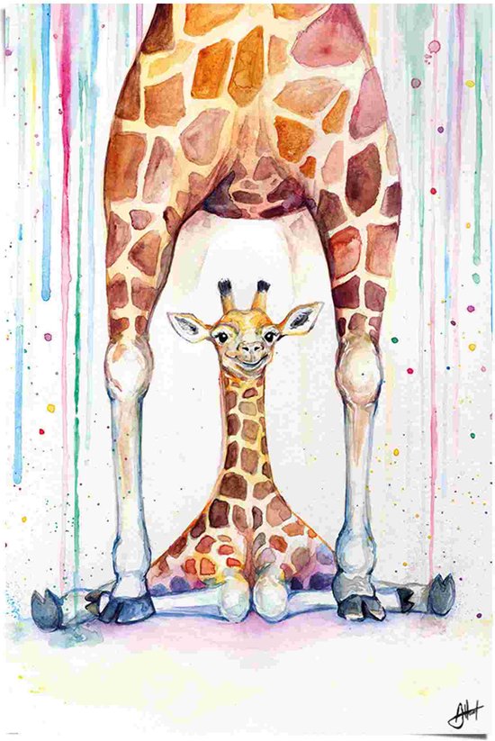 Poster Giraffes 91,5x61 cm
