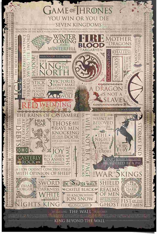 Game of Thrones  Infographic - Poster 61 x 91.5 cm