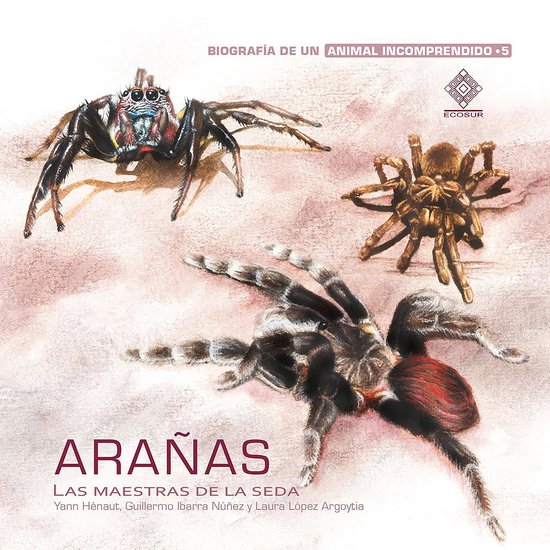 Arañas, las maestras de la seda - cover