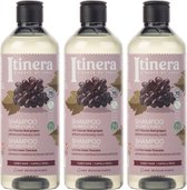 ITINERA - Shampoo voor krullend haar met Toscaanse rode druiven, 95% natuurlijke ingrediënten 370 ml (3 stuks)