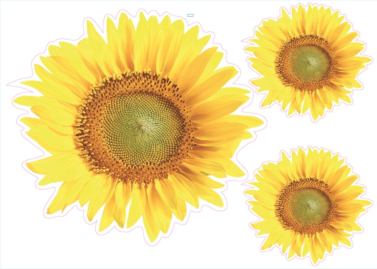 Zonnebloem Decoratie Stickers voor Kliko of Laptop | 10-delige Set | Waterbestendig Vinyl — afbeelding 2