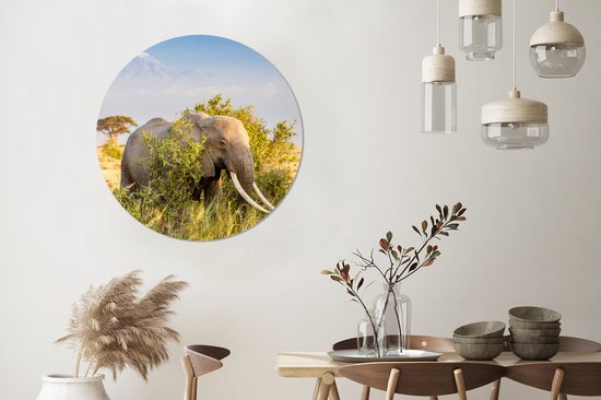 WallCircle - Cercle mural ⌀ 90 - Éléphant - Animaux - Herbe - Vert - Berg - Tableaux ronds salon - Assiette murale ronde - Décoration murale cercle - Décoration chambre intérieur - Décoration murale cercle mural - Accessoires de maison