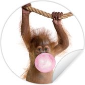 Behangsticker kind - Muurdecoratie jongenskamer - Dieren - Orang oetan - Kauwgom - Roze - Meisje - Kinderen - 100x100 cm - Wanddecoratie - Muursticker kinderkamer