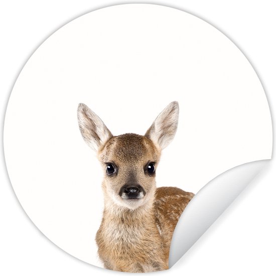 Behangcirkel Dieren In Het Bos - 75 Cm - Behangcirkel Zelfklevend Wanddecoratie Bosdieren Dieren In Het Bos Muurcirkel Binnen Wandsticker Behangsticker Babykamer En Kinderkamer