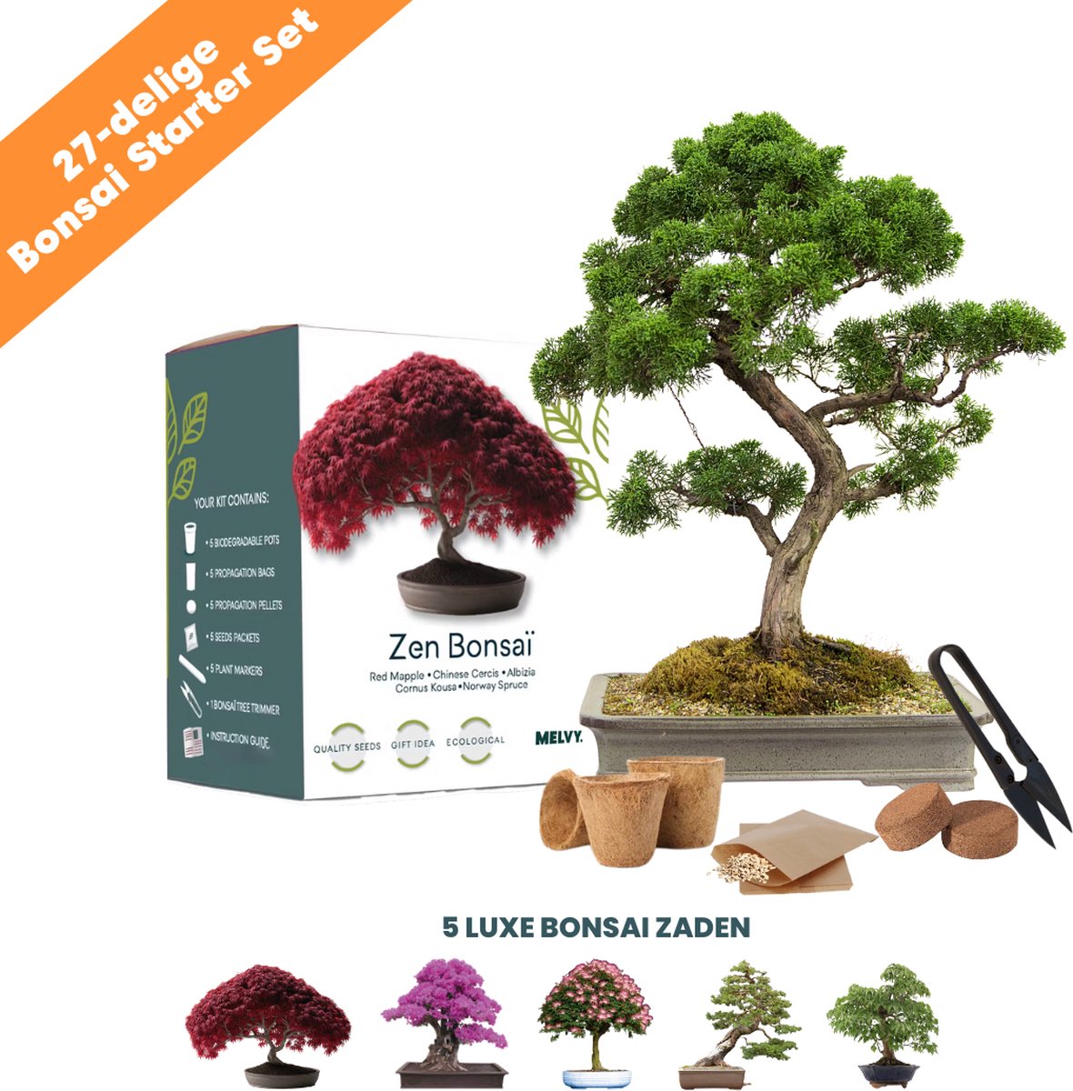 Graines de bonsaï - Kit de démarrage Bonsaï - Cultivez vos eigen bonsaïs -  4 types de