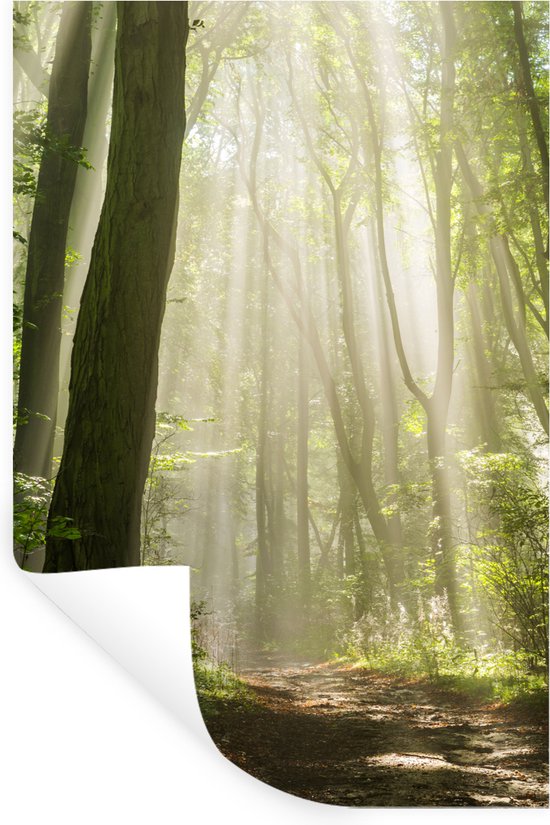 Muurstickers - Sticker Folie - Bos - Licht - Natuur - Landschap - 60x90 cm - Plakfolie - Muurstickers Kinderkamer - Zelfklevend Behang - Zelfklevend behangpapier - Stickerfolie