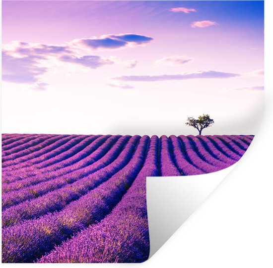 Kiwistar Adesivo Murale Fiori Lavanda – 6 Dimensioni, 96x61 Cm – Rimovibile