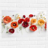 Muursticker - Rij van Planten en Bloemen in Verschillende Kleuren en Soorten op Wit Oppervlak - 75x50 cm Foto op Muursticker