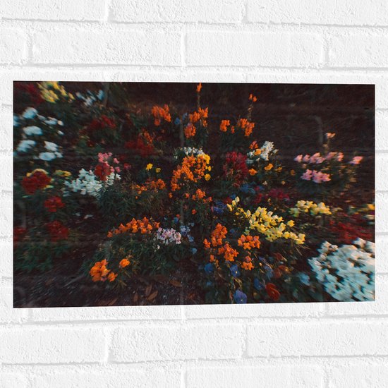 Muursticker - Bloemen - Wazig - Natuur - Bossen - Kleuren - Bladeren - 60x40 cm Foto op Muursticker
