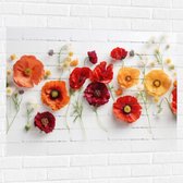 Muursticker - Rij van Planten en Bloemen in Verschillende Kleuren en Soorten op Wit Oppervlak - 100x75 cm Foto op Muursticker