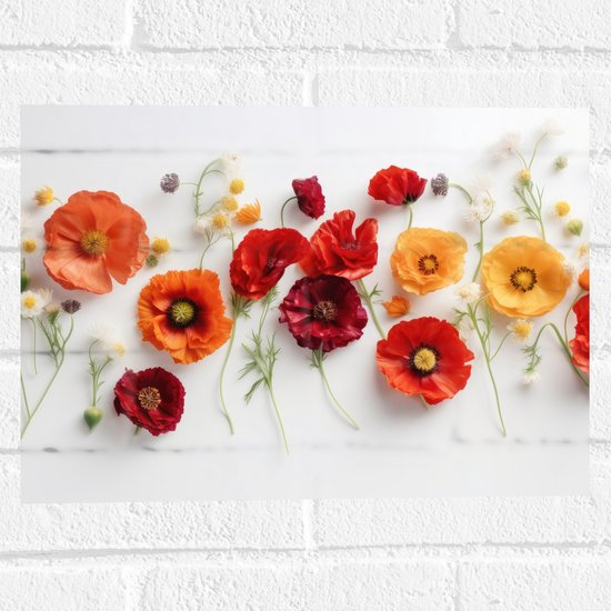 Muursticker - Rij van Planten en Bloemen in Verschillende Kleuren en Soorten op Wit Oppervlak - 40x30 cm Foto op Muursticker