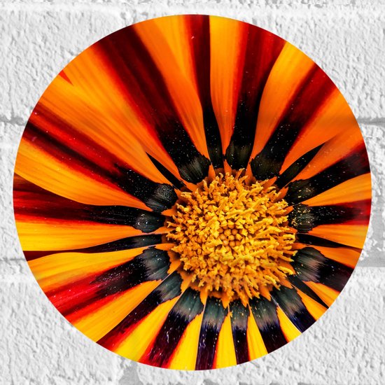 Muursticker Cirkel - Close-up - Bloem - Plant - Bladeren - Kleuren - 20x20 cm Foto op Muursticker