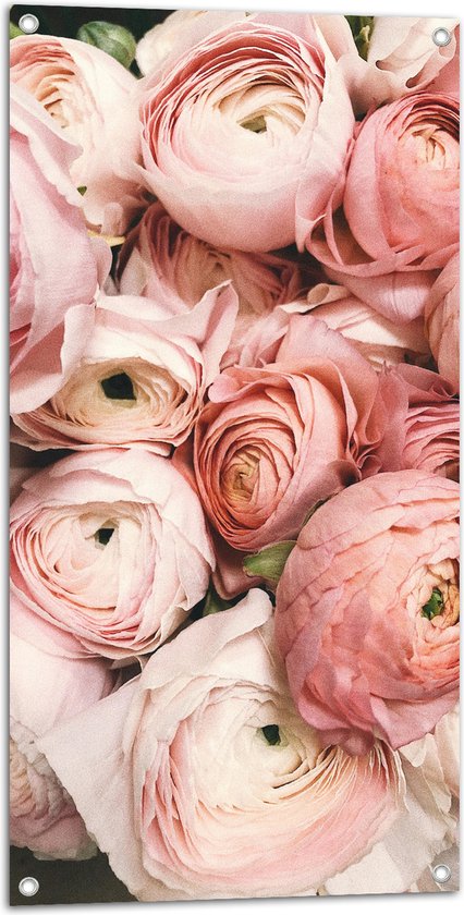 Tuinposter – Bloemen - Natuur - Roze - Knoppen - 50x100 cm Foto op Tuinposter (wanddecoratie voor buiten en binnen)
