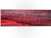 PVC Schuimplaat - Rode Gloed over Sluierbewolking in de Lucht - 60x20 cm Foto op PVC Schuimplaat (Met Ophangsysteem)