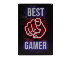Wandbord – Best Gamer - Gamen – Vintage - Retro - Wanddecoratie – Reclame bord – Restaurant – Kroeg - Bar – Cafe - Horeca – Metal Sign - 20x30cm