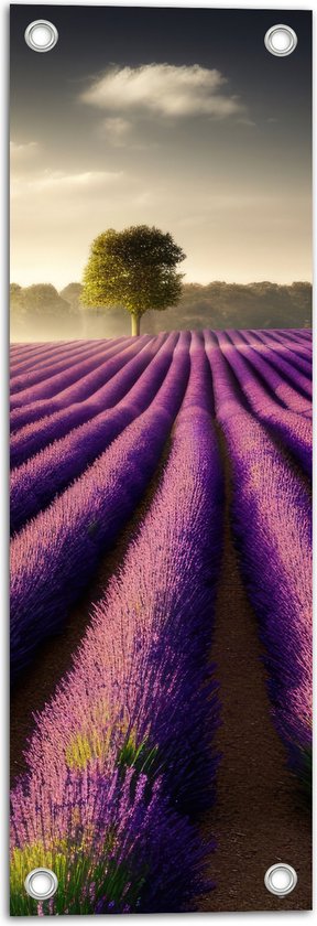 Tuinposter – Rijen Lavendelbloemen in Weiland - 20x60 cm Foto op Tuinposter (wanddecoratie voor buiten en binnen)