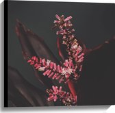 Canvas - Close-up - Bloem - Natuur - Roze - 60x60 cm Foto op Canvas Schilderij (Wanddecoratie op Canvas)