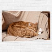 Muursticker - Roodharige Kat Rustend op Huiskamerstoel - 105x70 cm Foto op Muursticker