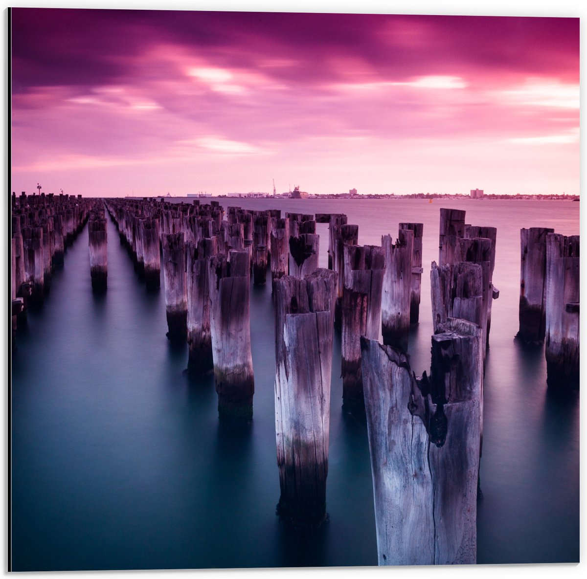 Dibond - Palen - Water - Hout - Zee - Kleuren - 50x50 cm Foto op Aluminium (Wanddecoratie 