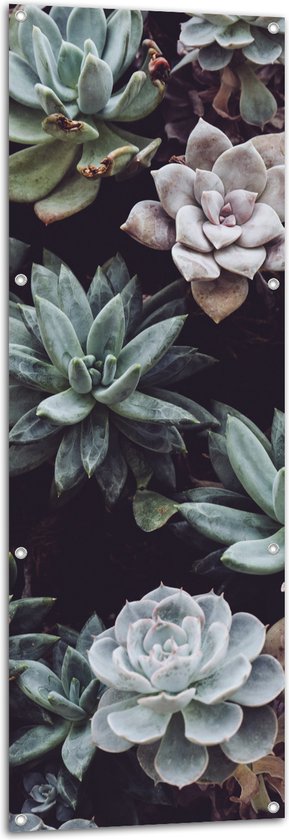 Tuinposter – Kleuren - Bladeren - Bloemen - Planten - 50x150 cm Foto op Tuinposter (wanddecoratie voor buiten en binnen)