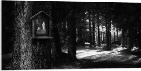 Acrylglas - Bossen - Bomen - Vogelhuisje - Zwart - Wit - 100x50 cm Foto op Acrylglas (Wanddecoratie op Acrylaat)