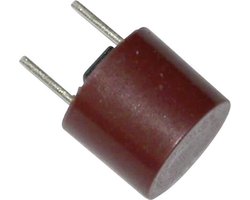 ESKA 887110-1 887110 Printzekering Radiaal bedraad Rond 200 mA 250 V Traag -T- 10 stuks