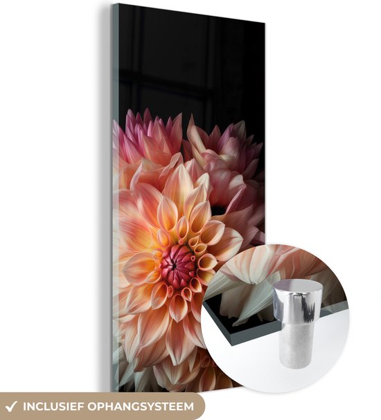 MuchoWow® Glasschilderij 40x80 cm - Schilderij acrylglas - Dahlia - Bloemen - Roze - Zwart - Botanisch - Foto op glas - Schilderijen