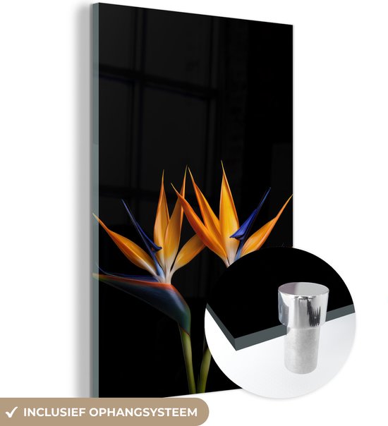 MuchoWow® Peinture sur verre - Plantes - Fleurs - Fleur d'oiseau du paradis - Portrait - Zwart - 80x120 cm - Peintures sur verre acrylique - Photo sur Glas