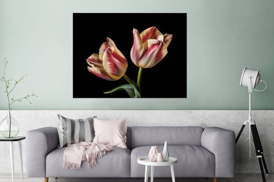 Décoration murale Métal - Peinture Aluminium Industriel - Tulipes - Fleurs - Rose - Wit - Nature - 120x90 cm - Dibond - Photo sur aluminium - Décoration murale industrielle - Pour le salon/chambre