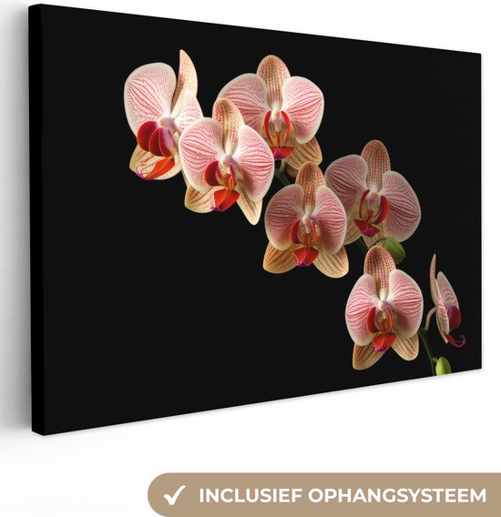 Canvas Schilderij Bloemen - Orchidee - Roze - Botanisch - Natuur - 30x20 cm - Wanddecoratie