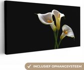 Canvas Schilderij Planten - Bloemen - Wit - Natuur - Botanisch - 40x20 cm - Wanddecoratie