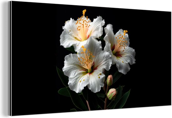 Wanddecoratie Metaal - Aluminium Schilderij Industrieel - Bloemen - Wit - Hibiscus - Natuur - Zwart - 80x40 cm - Dibond - Foto op aluminium - Industriële muurdecoratie - Voor de woonkamer/slaapkamer